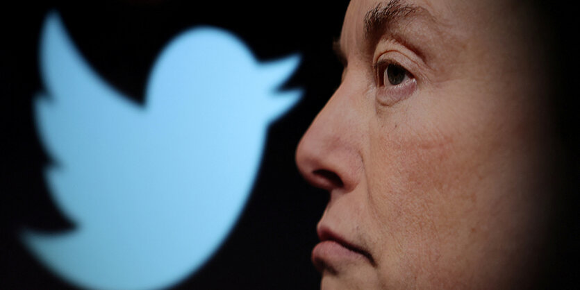 Elon Musk und Twitter