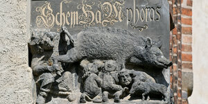 Relief der Judensau an der Stadtkirche von Wittenberg