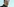Portrait von Elon Musk