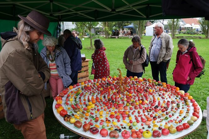 Menschen betrachten eine grosse Schale mit vielen Tomatensorten