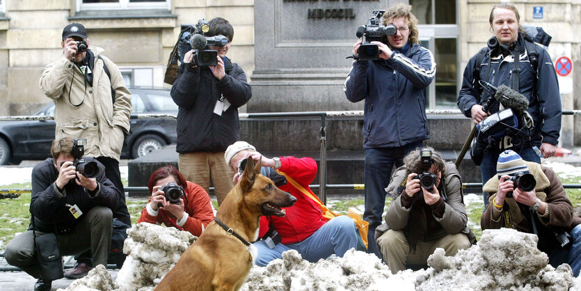 Hund vor der Presse.