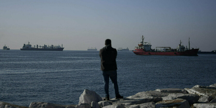 Eine Person schaut auf das Meer, auf dem Cargoschiffe schwimmen