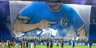 Riesentransparent, das vom Stadionsdach bis zum Rasenreichtr und einem Menschen im Schalke-Trikot zeigt