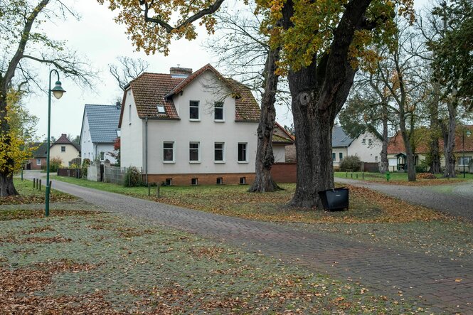 ein Haus steht am Rande eines Platzes vor alten Bäumen