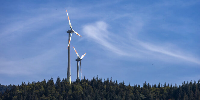 Zwei Windränder vor blauem Himmel