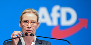 Alice Weidel, Landesvorsitzende der Partei Alternative für Deutschland, spricht beim Landesparteitag der AfD Baden-Württemberg.