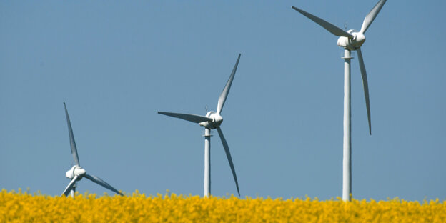 Windräder eines Windparks stehen in einem blühenden Rapsfeld in der Nähe von Wolgast im Landkreis Vorpommern-Greifswald.