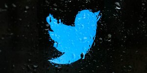 Twitter-Logo an einer Fensterscheibe bei Regen