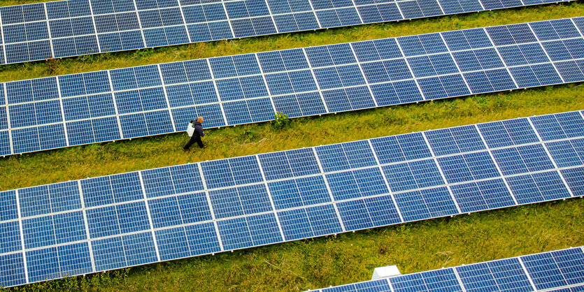 Ein Feld voller Solarzellen. Ein mensch läuft dazwischen.