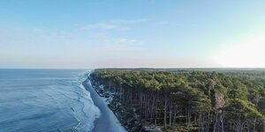 Küste mit Wald in Polen.