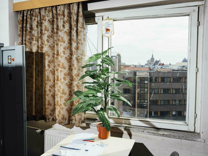 Blick aus einem Fenster mit Zimmerblume im Vordergrund auf das Gebäude der ehemaligen Stasizentrale