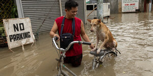 Eine Person geht mit Hund auf Fahrrad durch eine Überflutung.