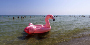 Ein pinker Flamingo zum aufblasen am Meeresufer