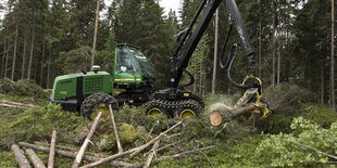 Ein Harvester im Wald beim Bäumefällen.