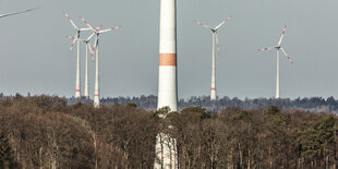 Windräder überragen Bäume