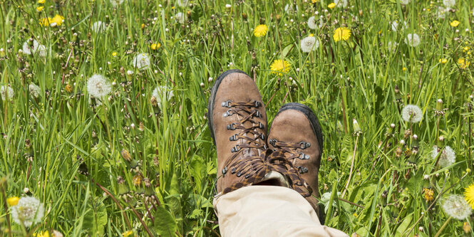 Wanderschuhe auf einer Wiese.