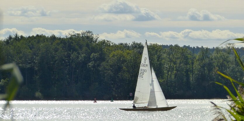 Einzelnes Segelboot auf dem Scharmützelsee