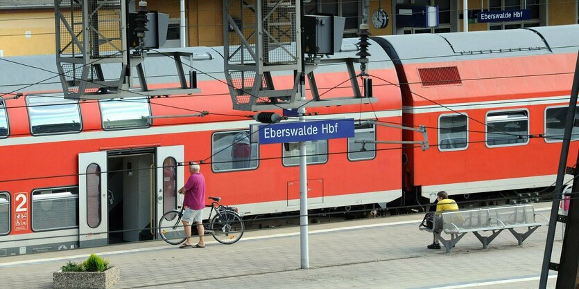 Eine Person mit Fahrrad auf einem Bahnsteig