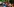 Die Band Love Machine post mit einer Schlange aus Stoff