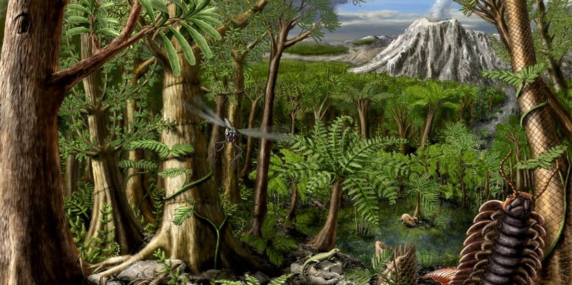 Tropenwald vor 290 Millionen Jahren