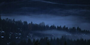 Nebel über kanadischen Wäldern