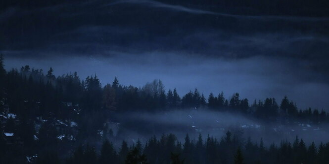 Nebel über kanadischen Wäldern