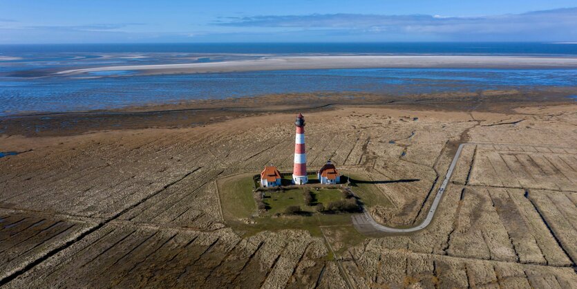 Salzwiese, im Vordergrund Wasser mit Schaum