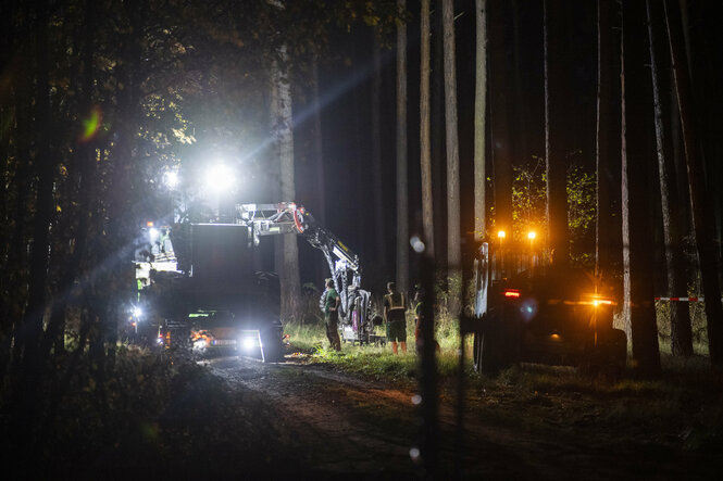 Eine Maschine fällt im Dunkeln Bäume