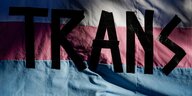 Ein mehrfarbiges Banner mit der Aufschrift "TRANS"