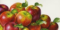 Illustration mehrerer Äpfel