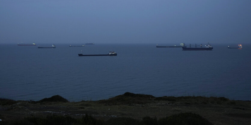 Blick vom Land aufs Meer, mehrere große Schiffe in der Ferne