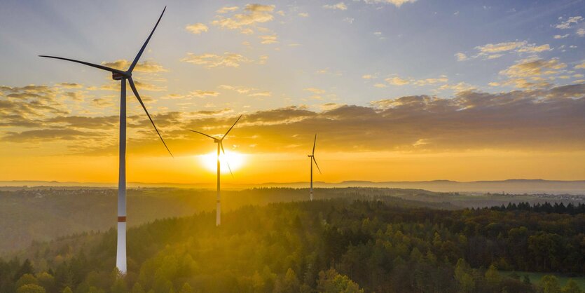 Windkrafträder im Sonnenaufgang.