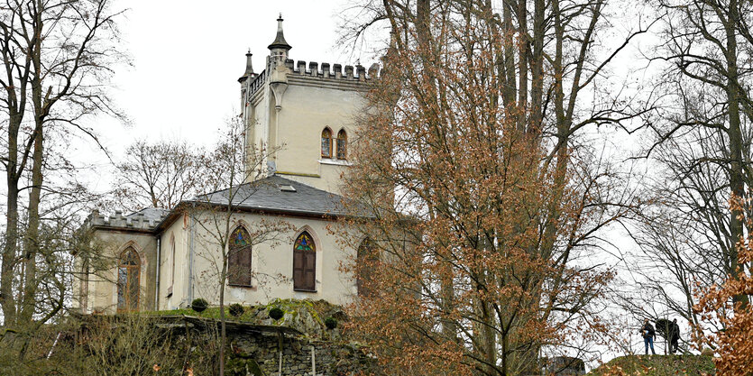 Ein Schloss umgeben von Bäumen