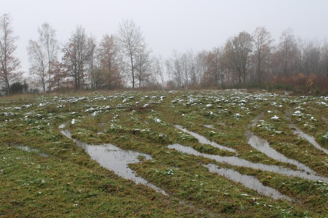 Panzerspuren im Gelände