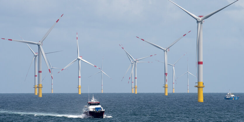 Das Versetzboot «Detector» fährt durch den Offshore-Windpark «Nordsee 1» vor der ostfriesischen Insel Spiekeroog.