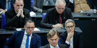 AfD-Fraktion im Bundestag
