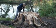 Ein mann arbeitet an einem Baumstumpf