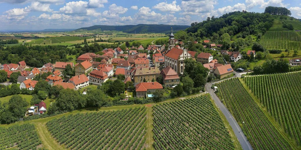 Blick auf ein von Weinbergen umgebenes Dorf