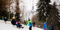 Familien und Kinder fahren auf einem Hügel im Volkspark Friedrichshain Schlitten, zwischen den Bäumen ist der Berliner Fernsehturm zu sehen.