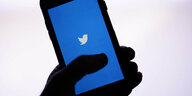 Eine Hand hält im Gegenlicht ein Smartphone in die Höhe, auf dem ist ein weißes Twitter-Logo auf blauem Grund zu sehen