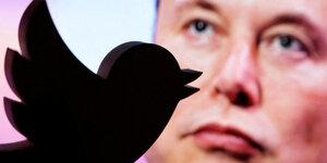 Das Twitter-Symbol vor dem Porträt von Elon Musk