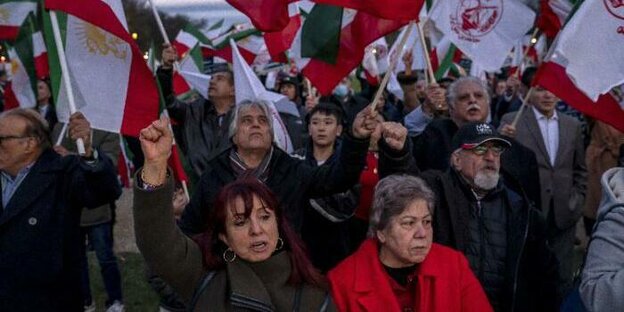 Women in Washington demonstrate for women in Iran, waving Iranian flags