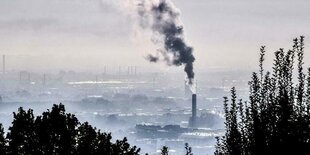 von einem Hügel herab blickt man durch Baumkronen auf eine Ebene im Nebel, nur ein qualmender Fabrikschornstein ragt heraus