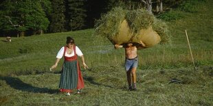 Ein mann und eine Frau ernten Heu