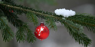 Zweig eines Nadelbaums mit einer roten Kugel und Schnee