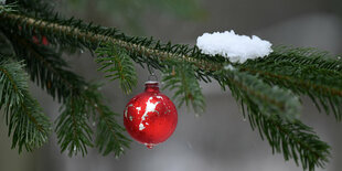 Zweig eines Nadelbaums mit einer roten Kugel und Schnee