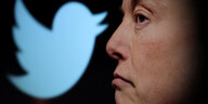 Das Twitter-Symbol neben Elon Musks Gesicht