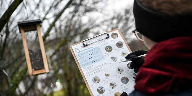 Ein Mensch in warmer Winterkleidung betrachtet ein Futterhäuschen für Vögel und hält in der Hand ein Clipboard zur Bestimmung verschiedener Vogelarten