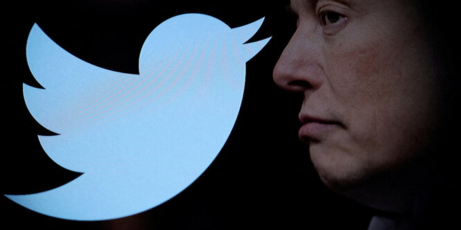 Elon Musk im Halbprofil neben Twitter-Vogel