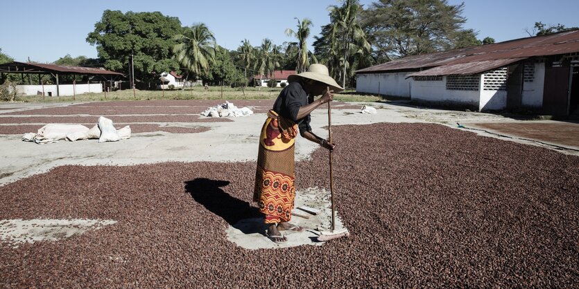 Kakaofarmer in Madagaskar